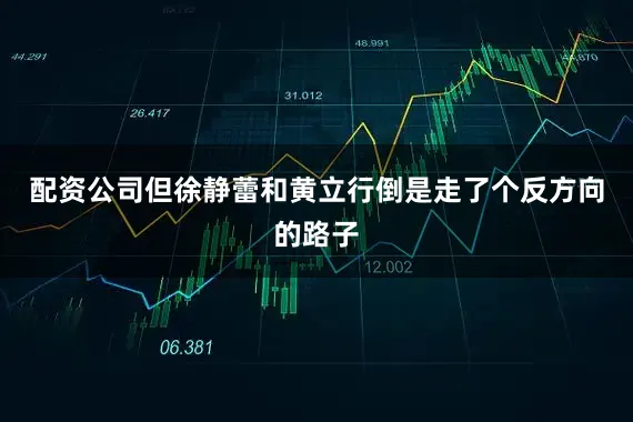 配资公司但徐静蕾和黄立行倒是走了个反方向的路子