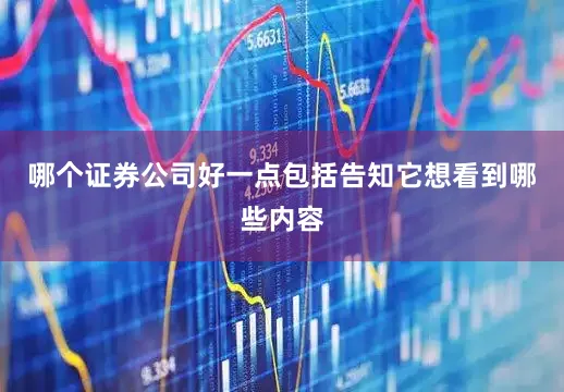 哪个证券公司好一点包括告知它想看到哪些内容